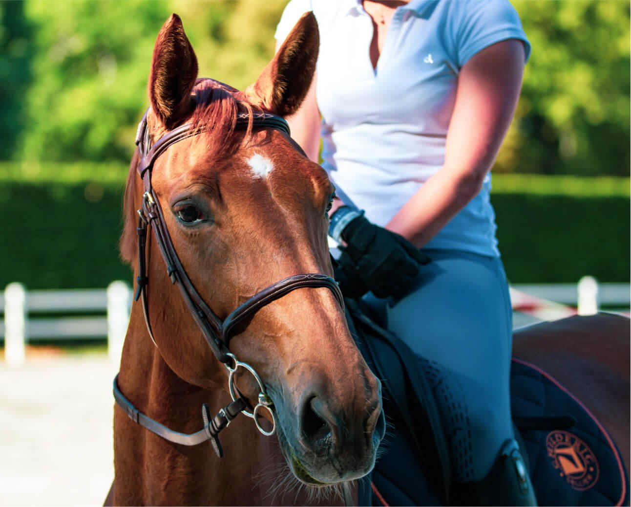 philippe oursel XohRCyMQjTE unsplash 2 1