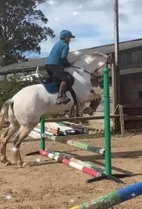 Faye Taylor Showjumping Jago