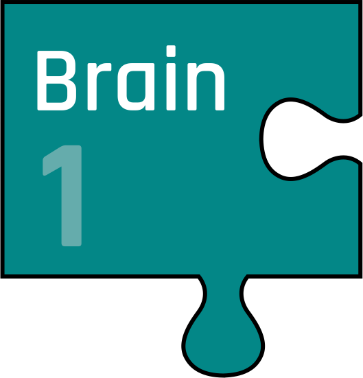 PTW Jigsaw 1 The Brain