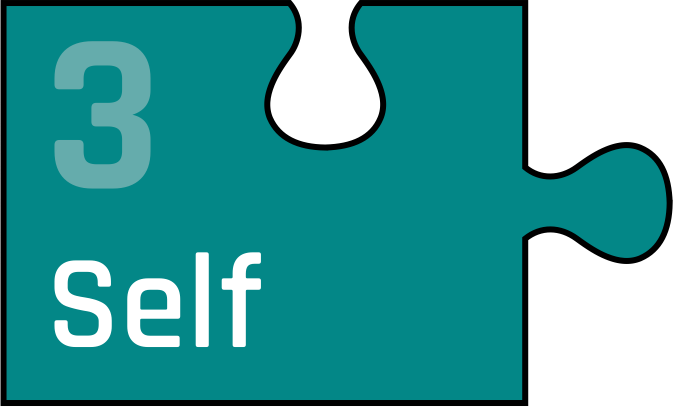 PTW Jigsaw 3 Self