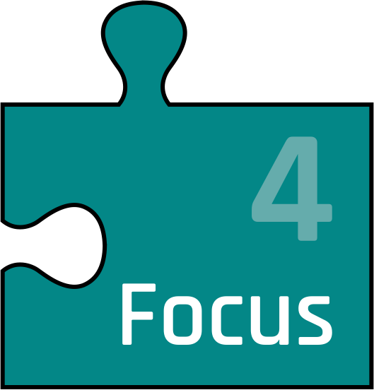 PTW Jigsaw 4 Focus