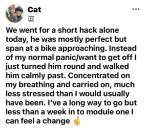 Cat2 Cat2