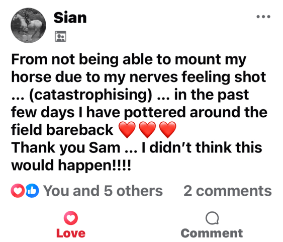 Sian2 Sian2