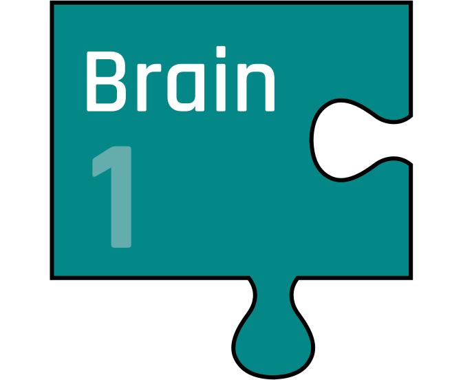 PTW Jigsaw 1 Sized